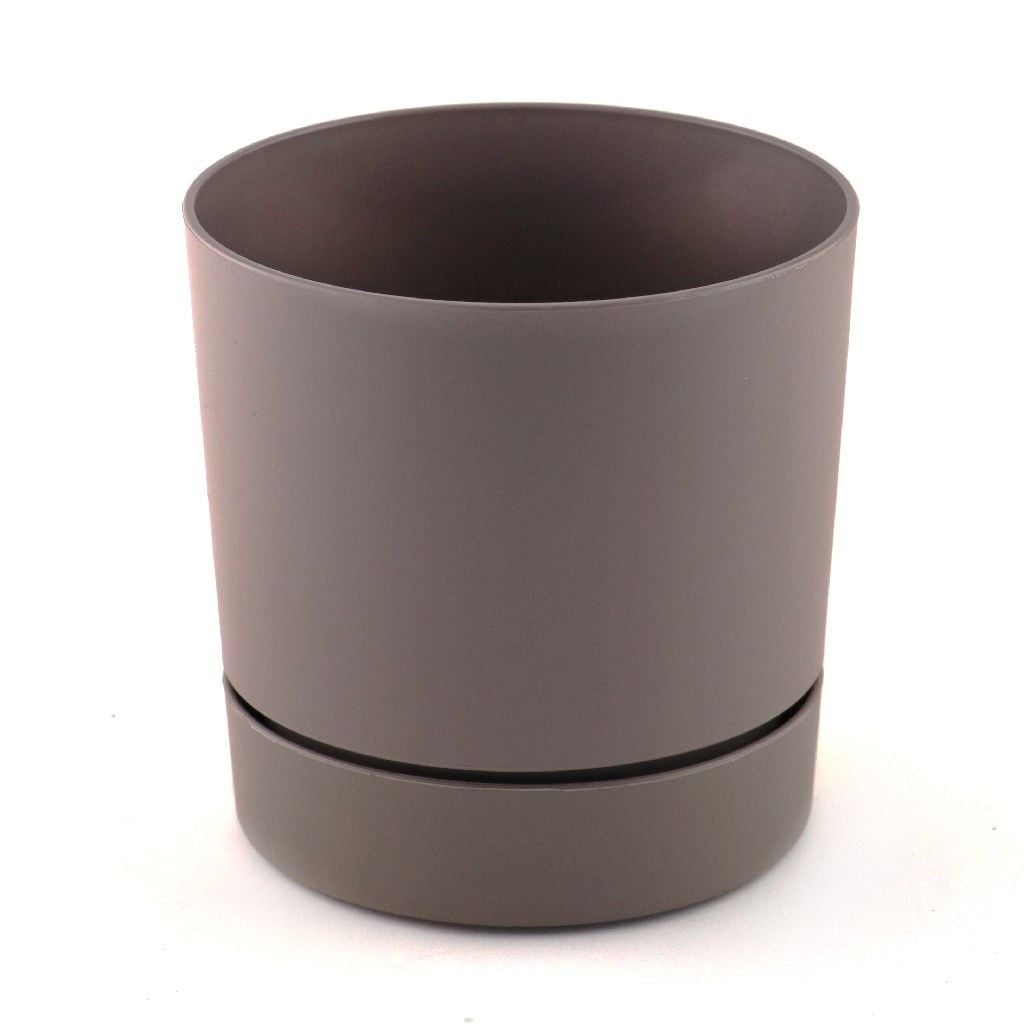 POLİWORK BEGONYA SAKSI KREM 12CM