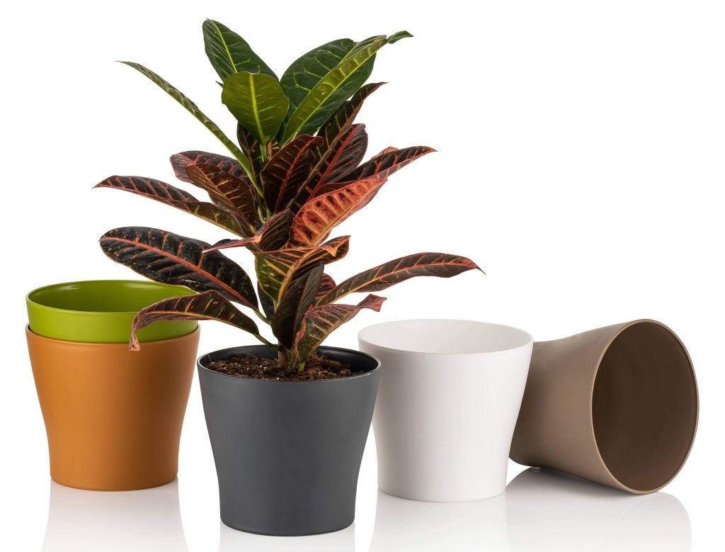 POLİWORK GARDENYA KAKTÜS SAKSI PASTEL MİX 8,5