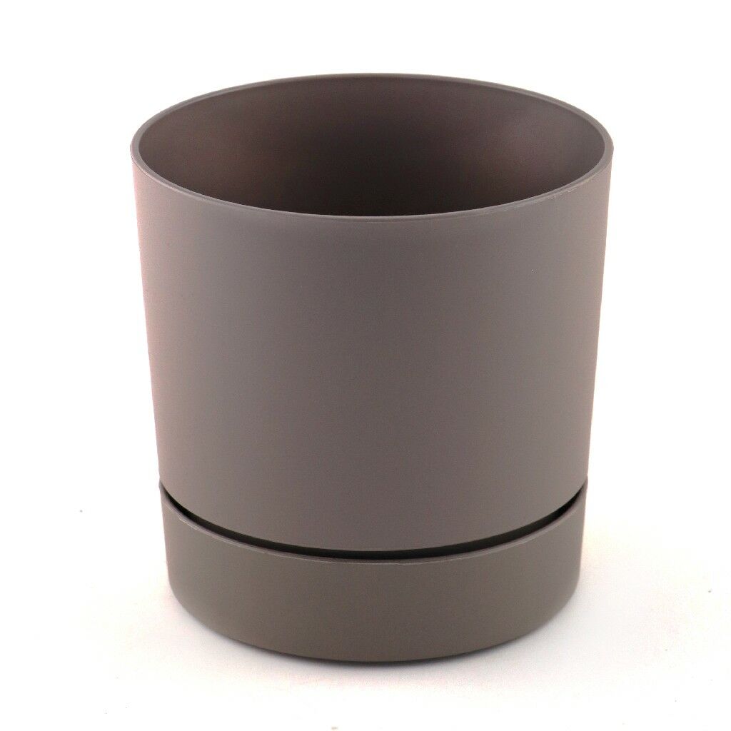 POLİWORK BEGONYA SAKSI KREM 18CM