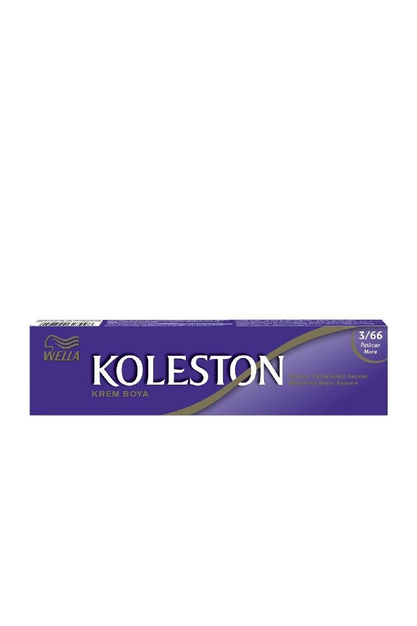 KOLESTON TÜP BOYA 3-66(PATLICAN MORU)